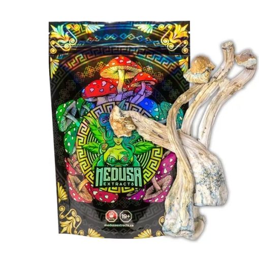 Tri Colour Ecuadorian Magic Mushrooms Medusa Extracts