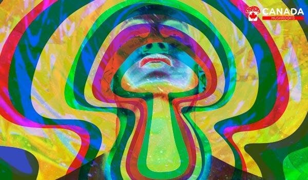 Psychedelics Relieves Pain