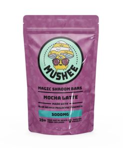 Magic Mushroom Mocha Latte Drink Mix - 3000MG - Mushee