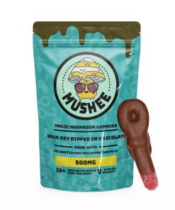 Magic Mushroom Sour Key Chocolate Dipped- 500MG - Mushee