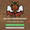 Sea Salt Chocolate Bites 400Mg Cbd