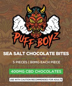 Sea Salt Chocolate Bites 400Mg Cbd