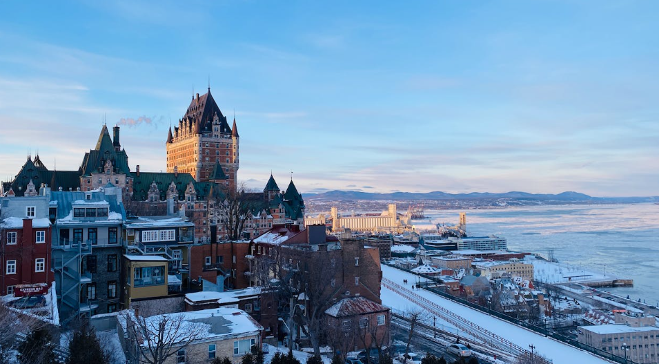 Magic Mushroom Quebec City